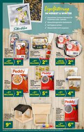 Billa Flugblatt woche 44 Seite 18