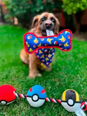 Catálogo Gameplanet (válido hasta 28-10)