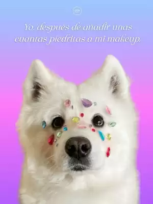 Catálogo Bellisima (válido hasta 28-10)