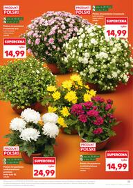 Kaufland gazetka tydzień 44 Strona 25