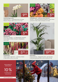 Pflanzen Kölle Prospekt Seite 2