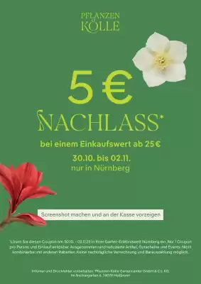 Pflanzen Kölle Prospekt (gültig bis 31-10)