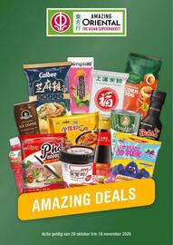 Amazing Oriëntal folder Pagina 1