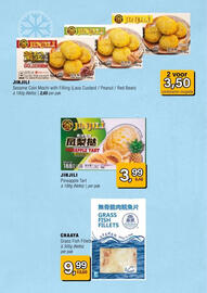 Amazing Oriëntal folder Pagina 13