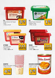 Amazing Oriëntal folder Pagina 20