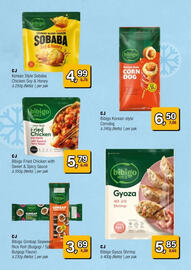 Amazing Oriëntal folder Pagina 6