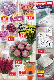 Twój Market gazetka tydzień 44 Strona 11