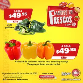 Catálogo Super Aki Página 5