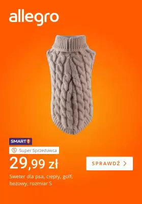 Allegro gazetka (ważność do 3-11)