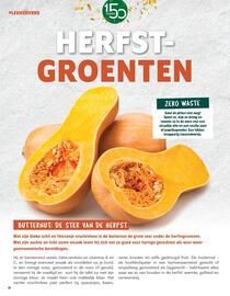 Louis Delhaize folder Pagina 10