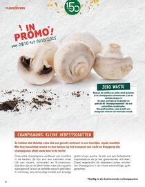 Louis Delhaize folder Pagina 12