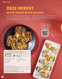 Louis Delhaize folder Pagina 6