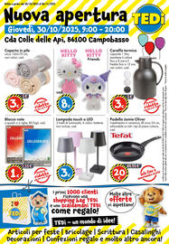 Volantino Tedi Pagina 1