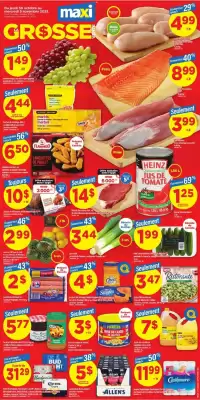 Maxi flyer