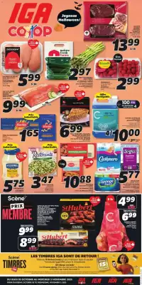 IGA flyer