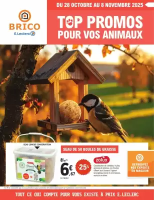 Catalogue E.Leclerc Brico (valable jusqu'au 8-11)