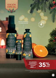 Catálogo Yves Rocher Página 13