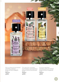 Catálogo Yves Rocher Página 29