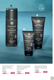 Catálogo Yves Rocher Página 31