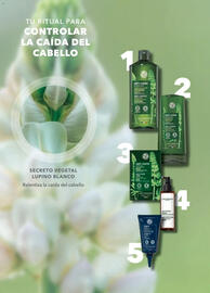 Catálogo Yves Rocher Página 50