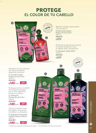 Catálogo Yves Rocher Página 61