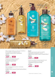 Catálogo Yves Rocher Página 81