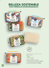 Catálogo Yves Rocher Página 82