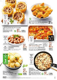 Catalogue Thiriet page 21