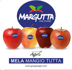 Volantino Basko Pagina 6