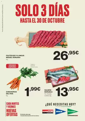 Catálogo Supercor