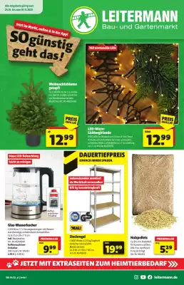Leitermann Baumarkt Prospekt (gültig bis 1-11)
