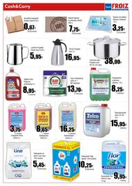 Folleto Cash FROIZ Página 13
