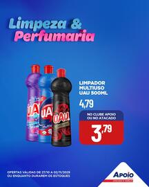 Folheto Apoio Mineiro semana 44 Página 4