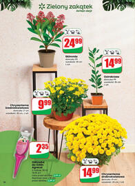 Dino gazetka tydzień 44 Strona 56