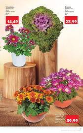 Catalog Kaufland săptămâna 44 Pagină 21