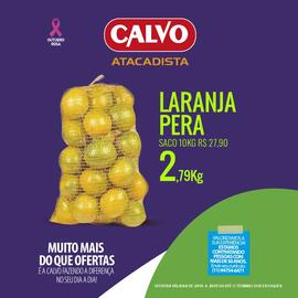 Folheto Calvo Atacadista Página 1