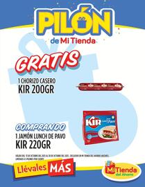 Folleto Mi Tienda del Ahorro Página 8