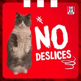 Catálogo KFC Página 1