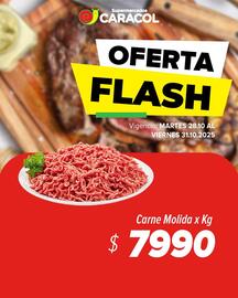 Catálogo Supermercados Caracol Página 3