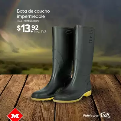 Catálogo Megamaxi (válido hasta 31-10)