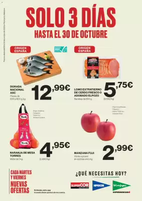 Catálogo El Corte Inglés (válido hasta el 30-10)