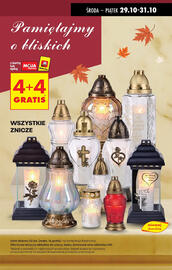 Biedronka gazetka tydzień 44 Strona 17