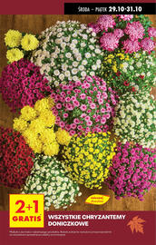 Biedronka gazetka tydzień 44 Strona 19