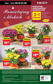 Biedronka gazetka tydzień 44 Strona 81