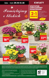 Biedronka gazetka tydzień 44 Strona 81