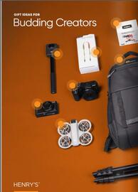 Henry's flyer Page 18