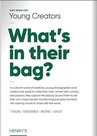 Henry's flyer Page 36