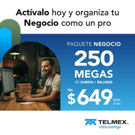 Catálogo Telmex Página 4