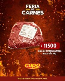 Catálogo Autoservicio Capo Página 3