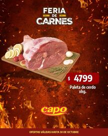 Catálogo Autoservicio Capo Página 5